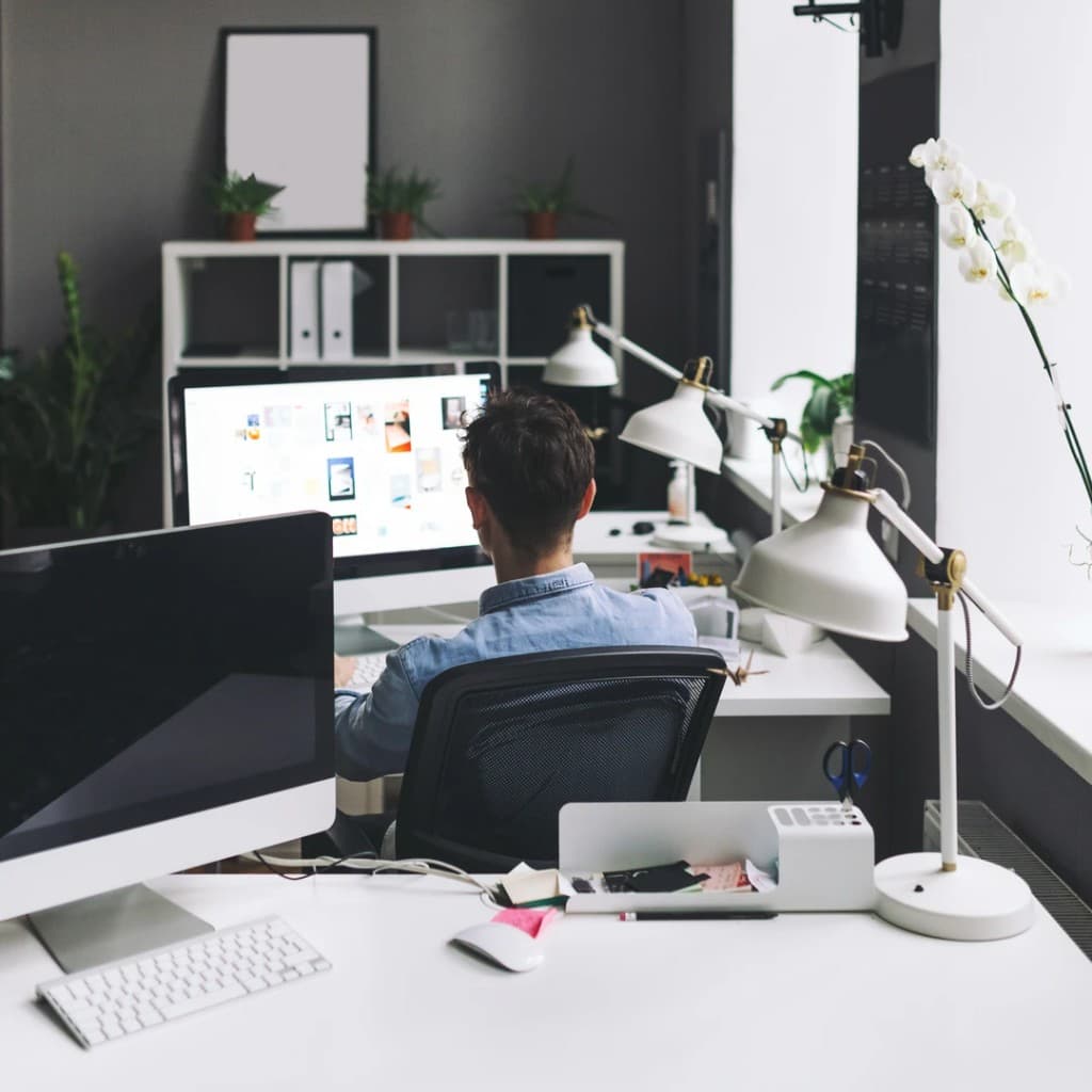 Software & App Development
